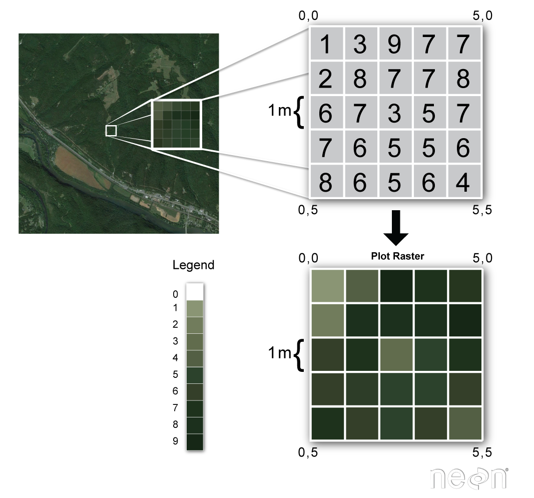 Picture of a forest with an inset showing how the pixels in that image relate to information stored in each pixel