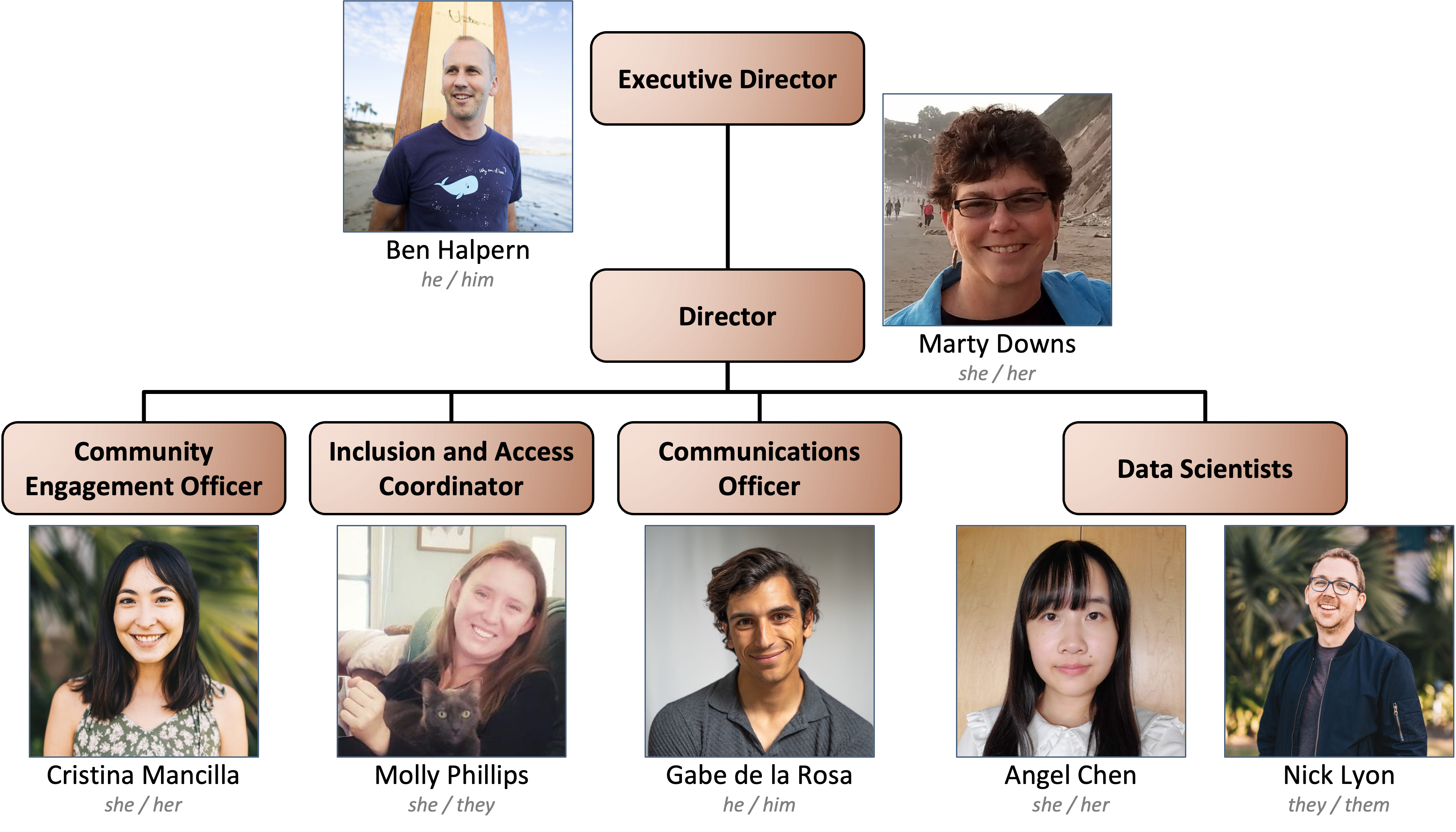 Organization chart of the LTER Network Office showing the executive director, director, data analyst, community engagement officer, inclusion and access coordinator, and communications officer positions (from top to bottom)