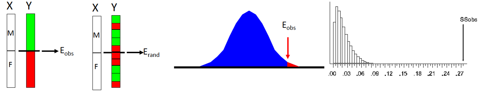 Diagram showing two X variables groups with a measured response (Y), model is fit and residuals are observed and compared to many different permutations (different group assignments) of the same residuals