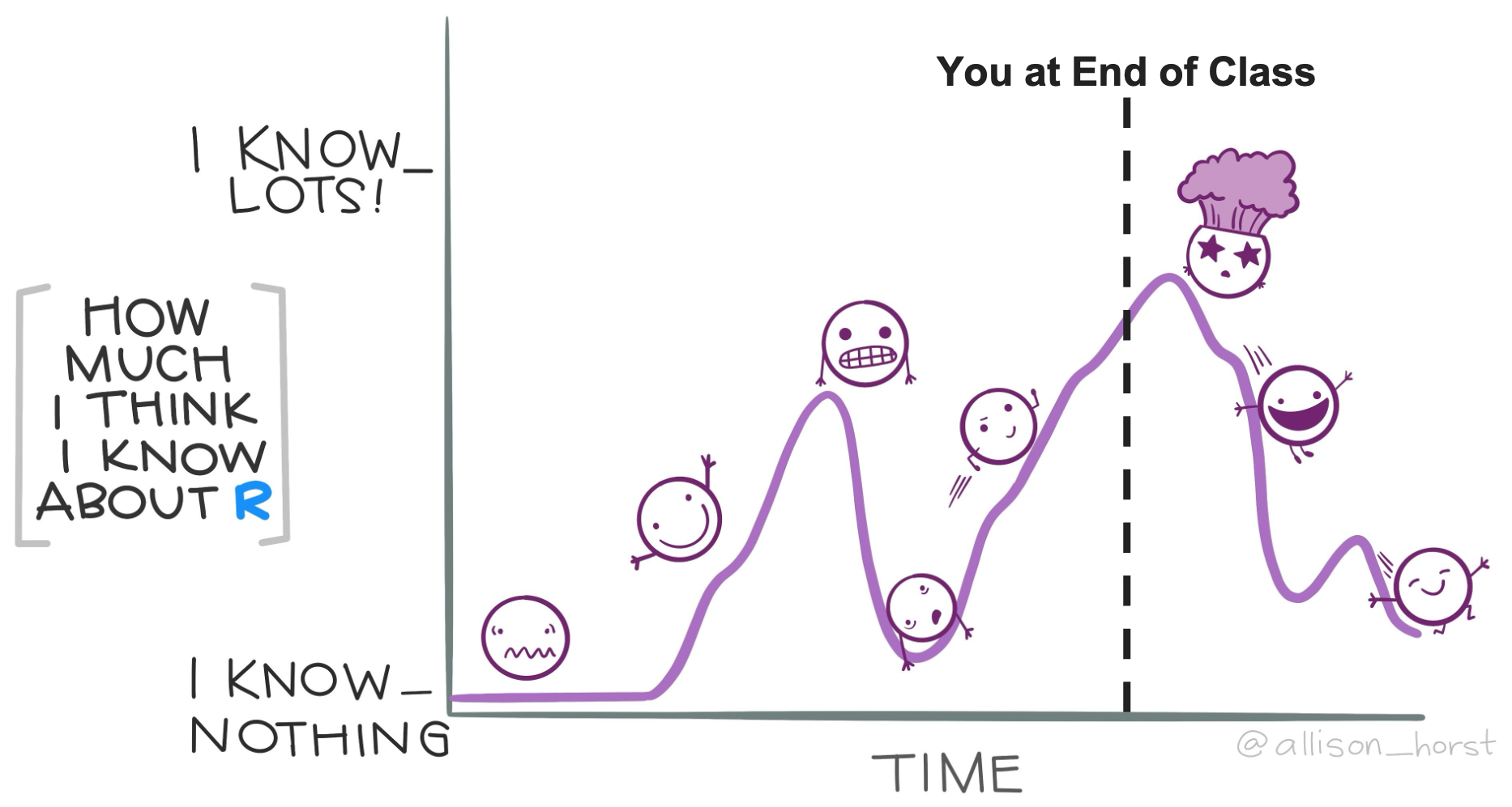 Comic-style graph depicting someone's confidence with R changing over time