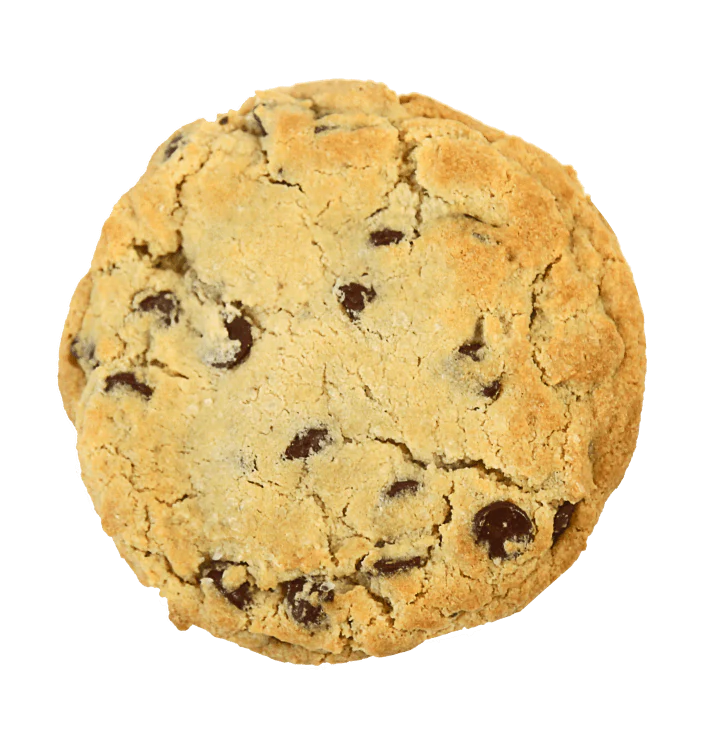 picture of a chocolate chip cookie