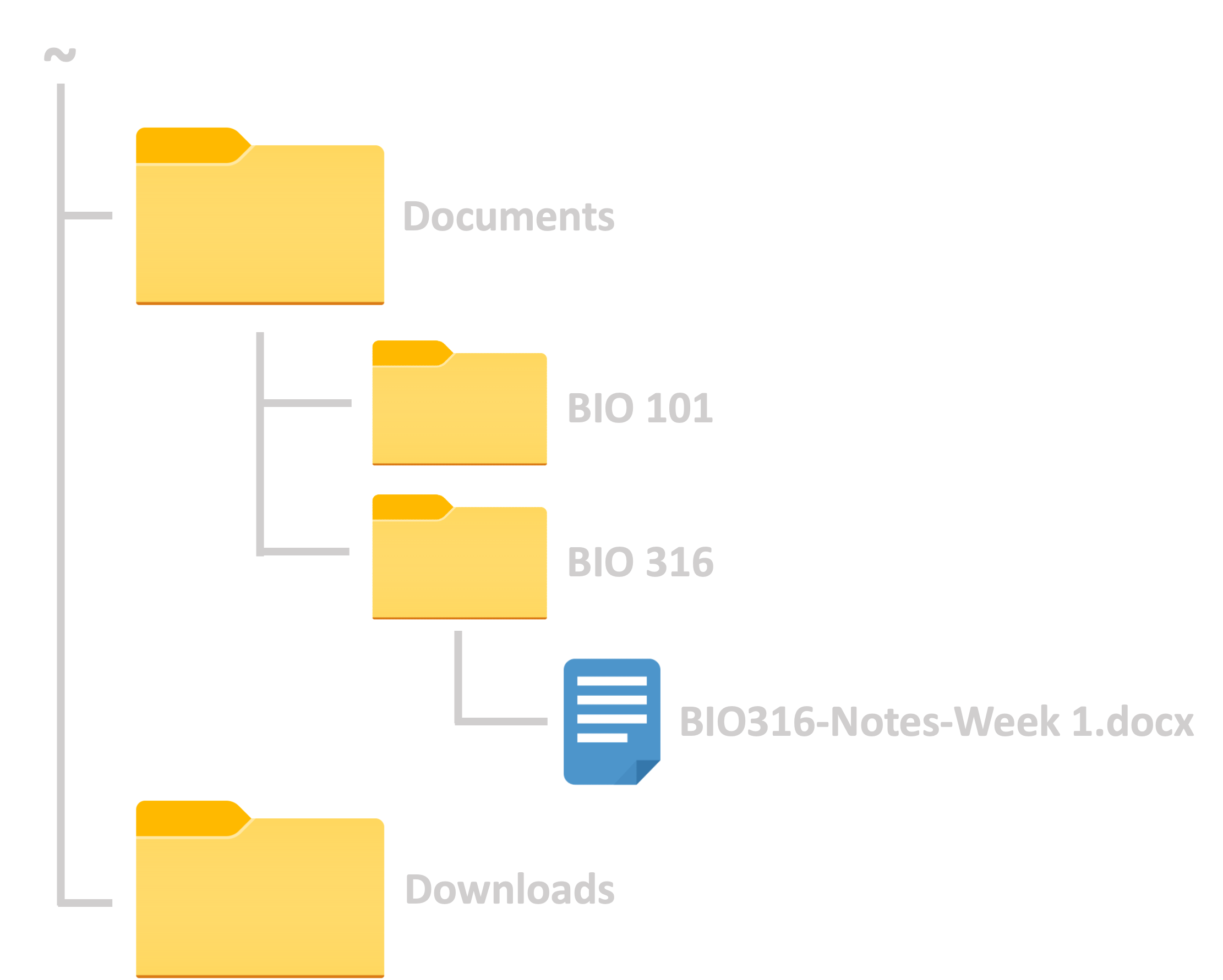 Diagram of hierarchically nested folders with a 'downloads' folder and 'documents' folder at the top where 'documents' contains a 'bio 101' and 'bio 316' folder and the 'bio 316' folder contains a notes document