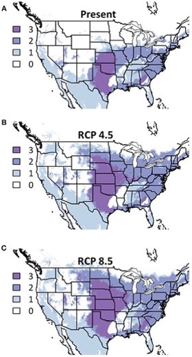 Three panels of maps of the continental US where each panel shows conditions under a different climate change future