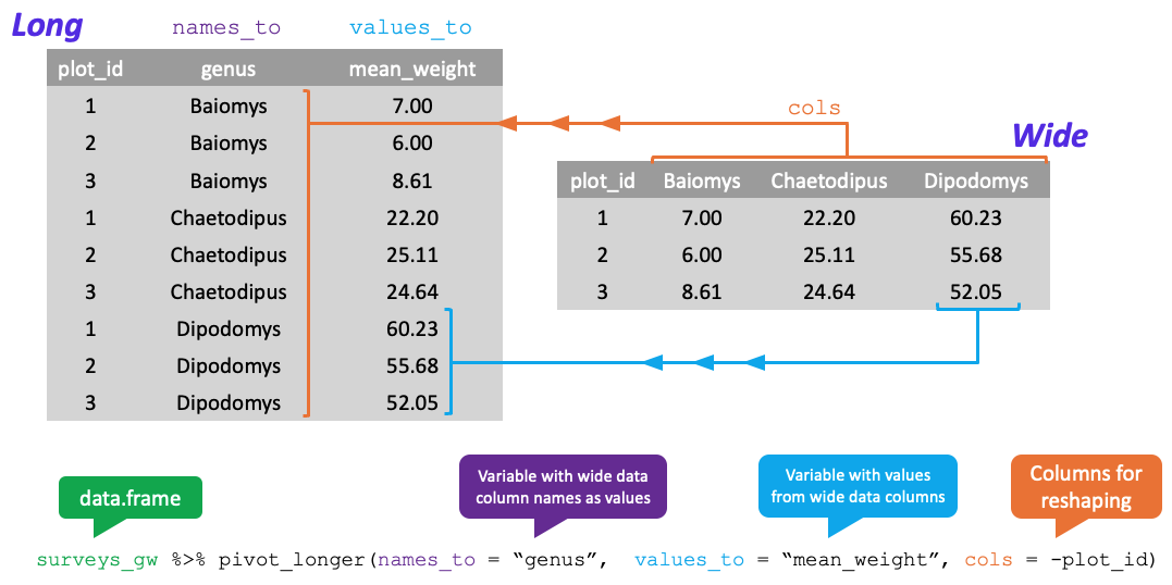 Diagram showing how the 'tidyr' package allows users to pivot data into long format (from wide format) using the 'pivot_longer' function