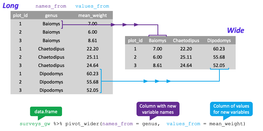 Diagram showing how the 'tidyr' package allows users to pivot data into wide format (from long format) using the 'pivot_wider' function