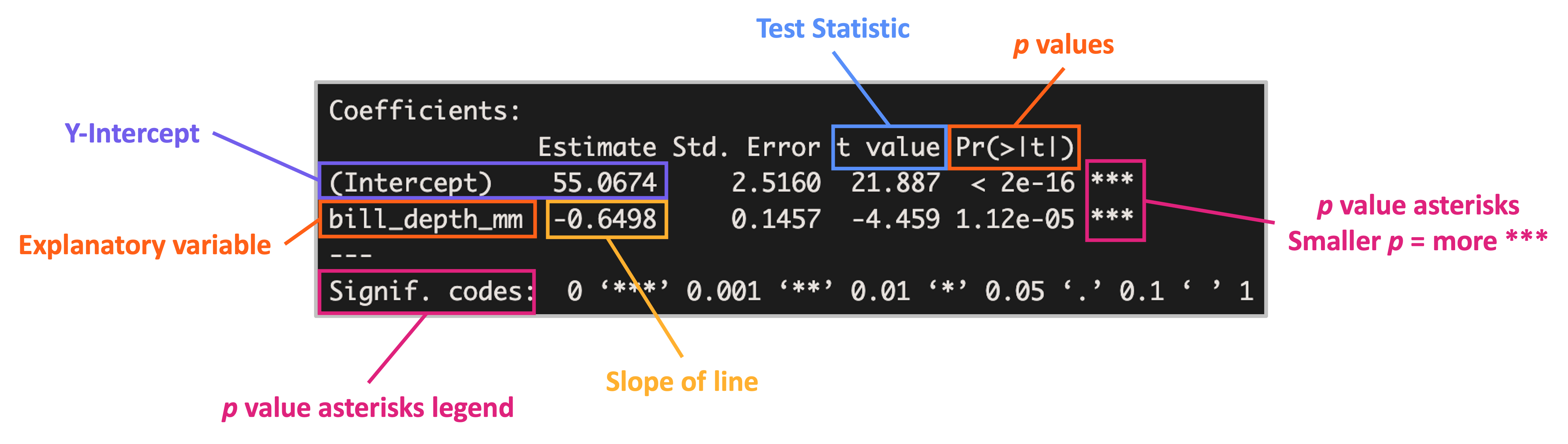 Annotated screen capture of the output of the 'summary' function when used on a model object made by the 'lm' function. Y-intercept, explanatory variable, slope of line, test statistic, p value, p value asterisks, and p value asterisk codes are all separately indicated in the screen capture