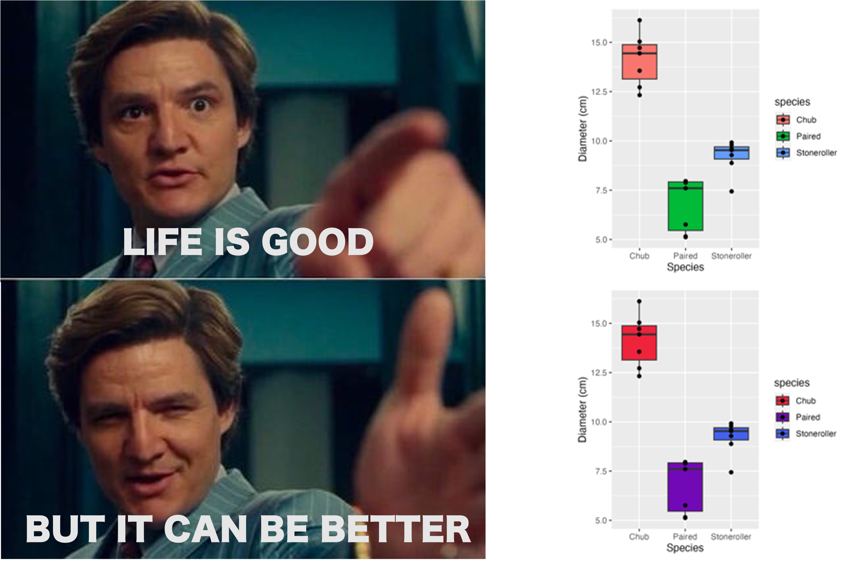 Meme where Pedro Pascal is saying 'life is good but it could be better' in two panels. Top panel is a default color graph then bottom panel is the same graph with custom colors