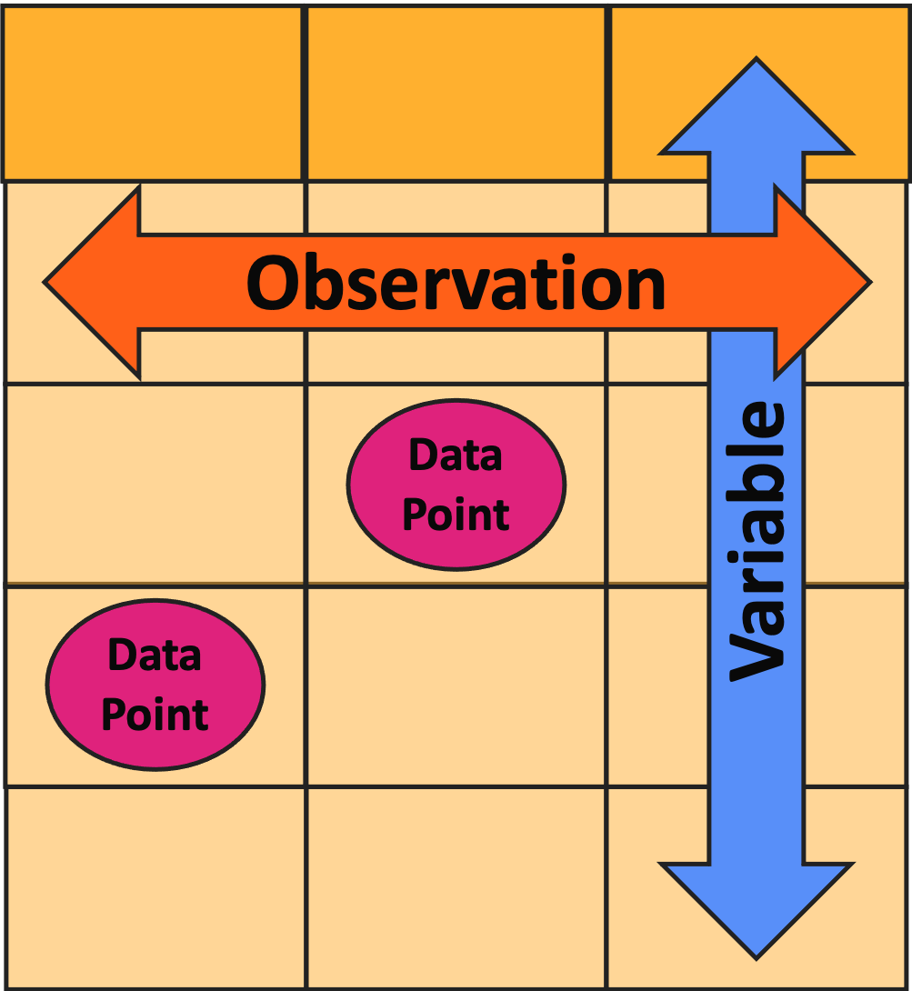 Cartoon data table with one column labeled as 'variable', one row as 'observation', and two cells as 'data point'